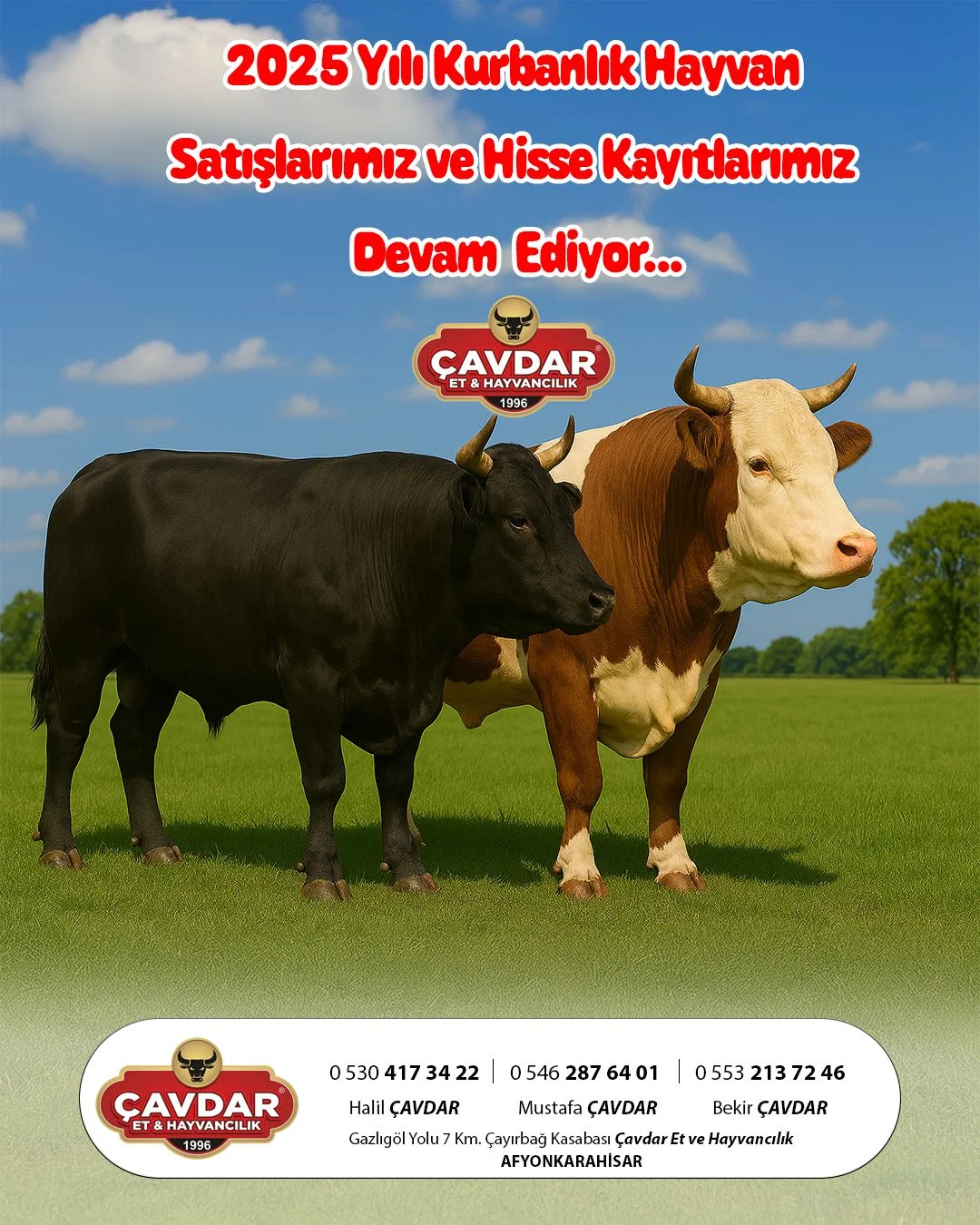 Online Adaklık Kurban | Akika Kurbanı | Şükür Kurbanı | Afyon Adaklık Kurban