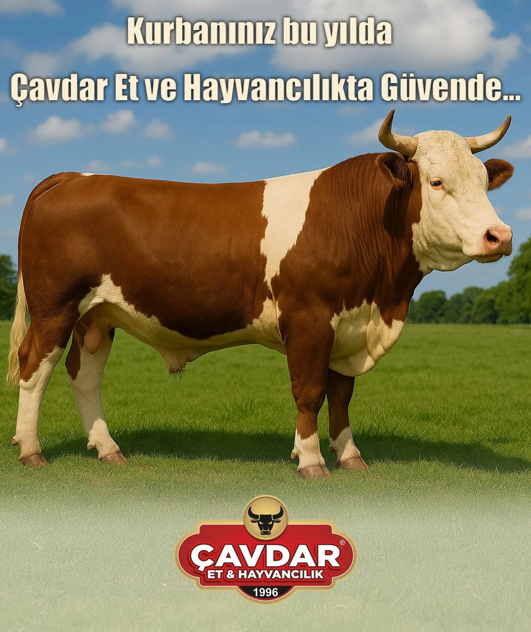 Online Adaklık Kurban | Akika Kurbanı | Şükür Kurbanı | Afyon Adaklık Kurban