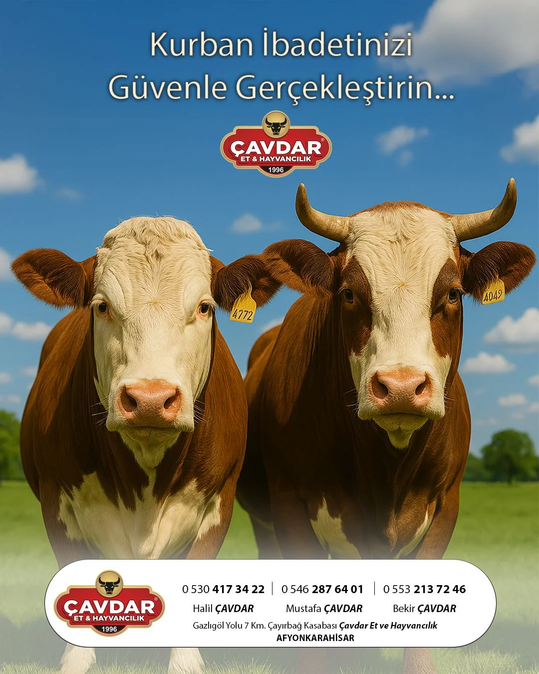 Online Adaklık Kurban | Akika Kurbanı | Şükür Kurbanı | Afyon Adaklık Kurban